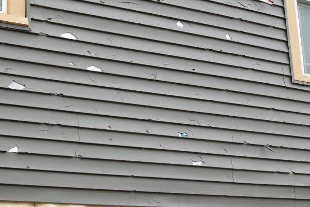 Best Vinyl Siding Installation  in Pompton Plains, NJ