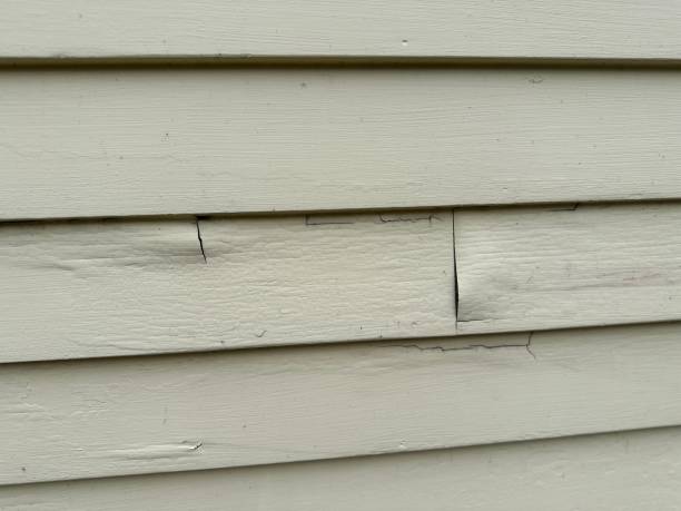 Best Vinyl Siding Installation  in Pompton Plains, NJ